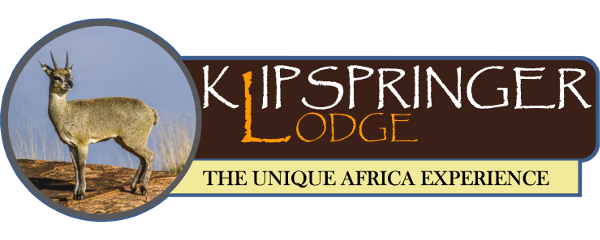 Kipspringer Lodge