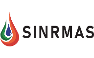 SINRMAS